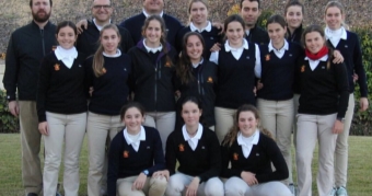 Grupos de trabajo de la R.F.E.G. 2016