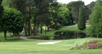 IV Gran Premio Senior Torre de Hércules de Oro