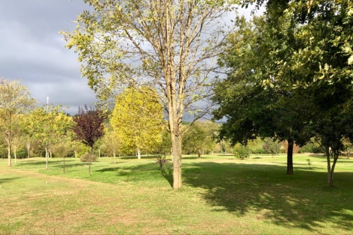 Campeonato de Galicia Match Play de Pitch&Putt 2018